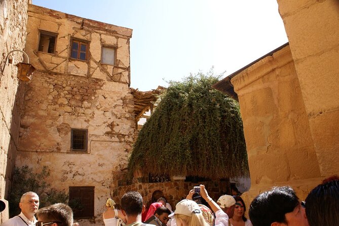 Saint Catherine Monastery & Mousses Mountain by Bus & Lunch From Sharm El Sheikh - Pricing and Availability
