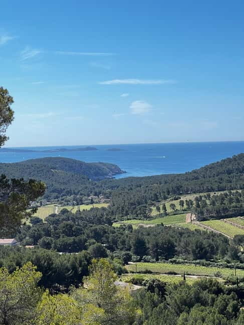 Saint-Cyr-sur-Mer: guided hike to the sand dune - Good To Know