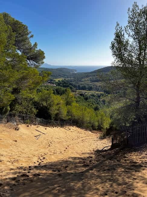 Saint-Cyr-sur-Mer: guided hike to the sand dune - The Sand Dune: Geological Marvel and Viewing Platform