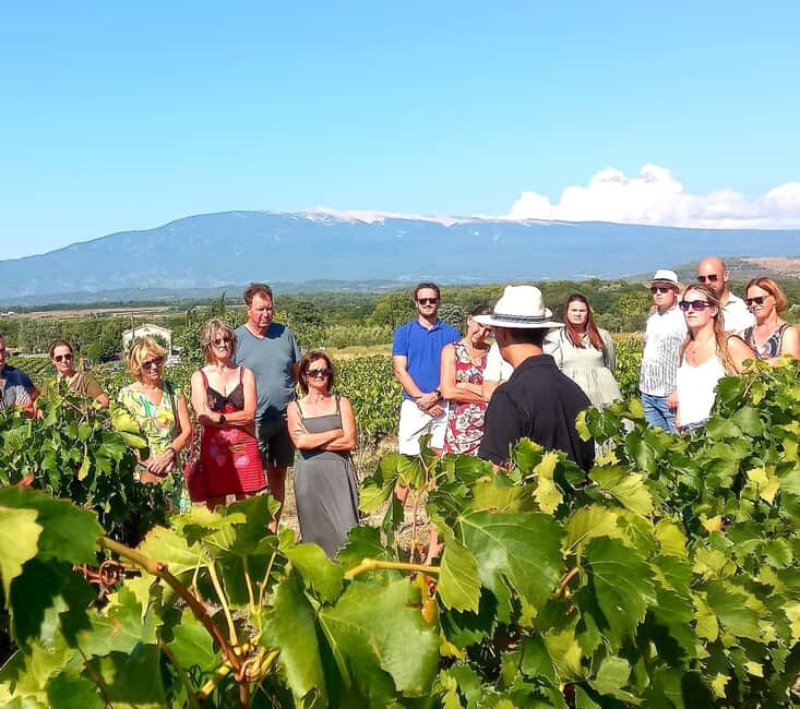 Saint-Didier: visit a vineyard & taste organic wines - What Could Be Better?