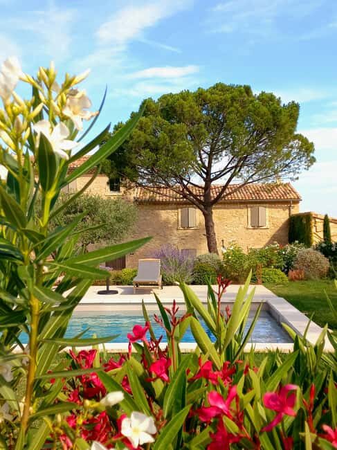 Saint-Didier: visit a vineyard & taste organic wines - Practical Tips for Visitors