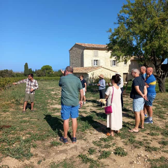 Saint-Didier: visit a vineyard & taste organic wines - Who Will Love This Tour?