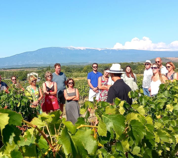 Saint-Didier: Visit a Winery & Taste Organic Wines - Wine Tasting Details