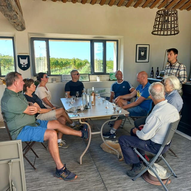 Saint-Didier: Visit a Winery & Taste Organic Wines - What to Expect on the Tour