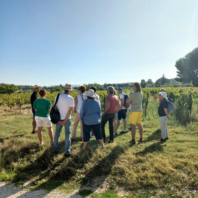 Saint-Didier: Visit a Winery & Taste Organic Wines - About the Winery and Winemakers
