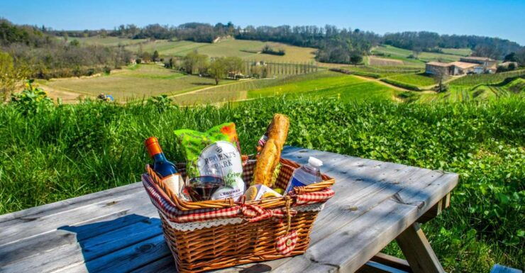 Saint-Emilion: 2 Guided Winery Visits & Picnic Lunch - Activity Details