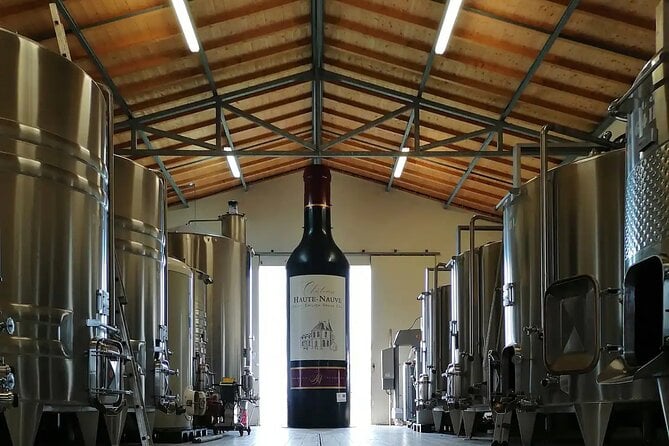 Saint-Émilion: 2 Hours - Visit of the Vineyard, the Cellar and Tasting - Exploring the Vineyard