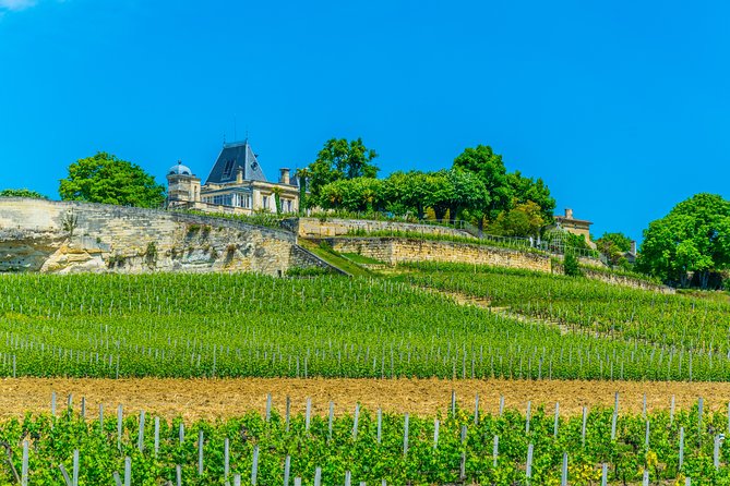 Saint-Emilion 7.5 Hours Wine Tourlunch in a Citroën 2CV From Bordeaux - Common Questions