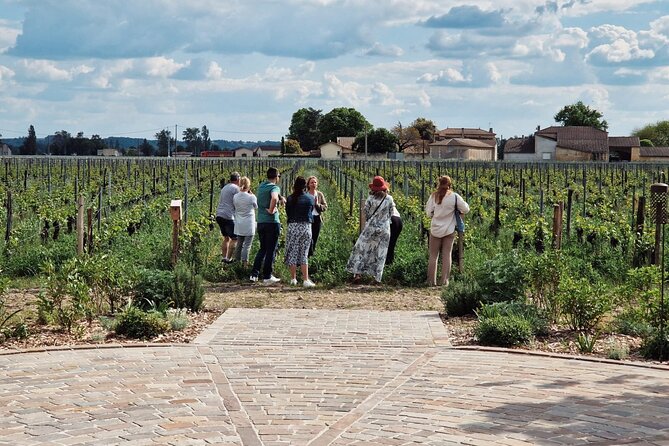 Saint Emilion Afternoon Wine Tour With Winery Visits & Tastings From Bordeaux - Tour Details and Logistics