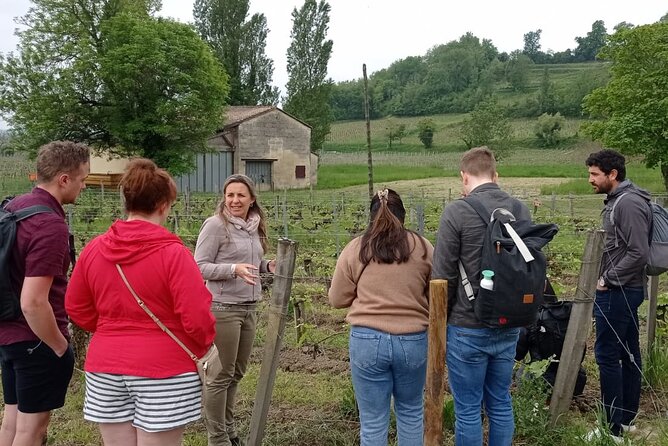 Saint Emilion Afternoon Wine Tour With Winery Visits & Tastings From Bordeaux - Indulge in Tastings at a Family-Run Winery