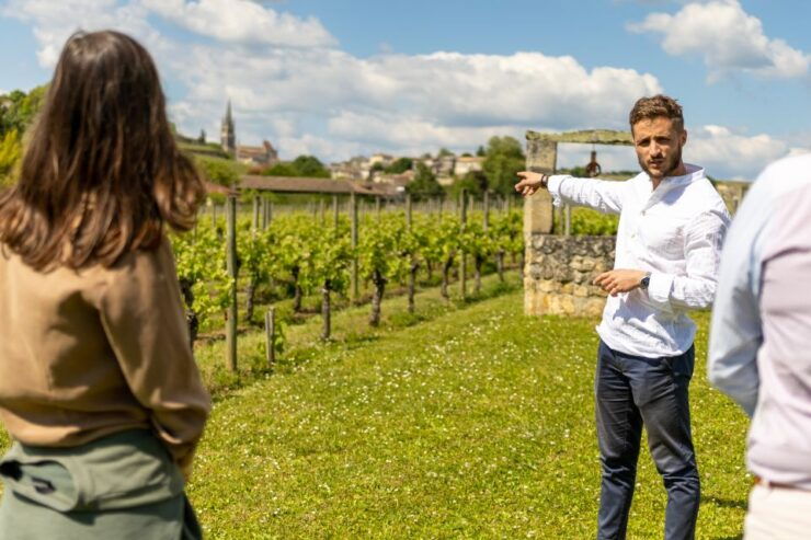 Saint-Émilion: Bordeaux Vineyard Tour and Wine Tasting - Experience Highlights
