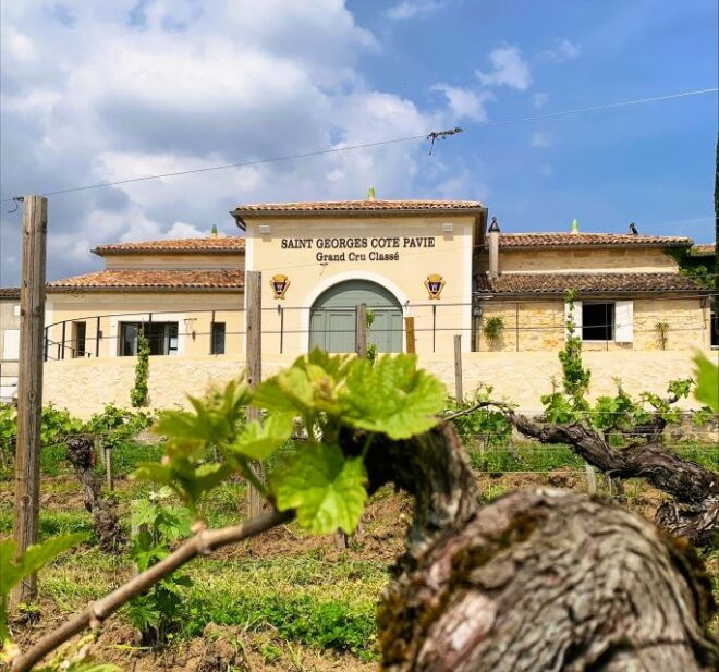 Saint-Émilion: Bordeaux Vineyard Tour and Wine Tasting - Exploring Saint-Émilion Village