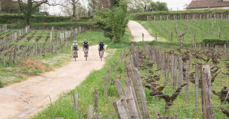 Saint-Émilion by Gravel Bike : Wine Tasting & Picnic - Highlights of the Gravel Bike Tour