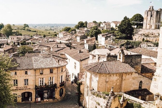 Saint Emilion Castle and Village Wine Tour - Tour Highlights