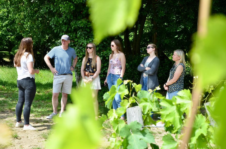 Saint-Émilion E-Bike Tour: Lunch, 2 Tastings & Transfers - Inclusions and Comfort