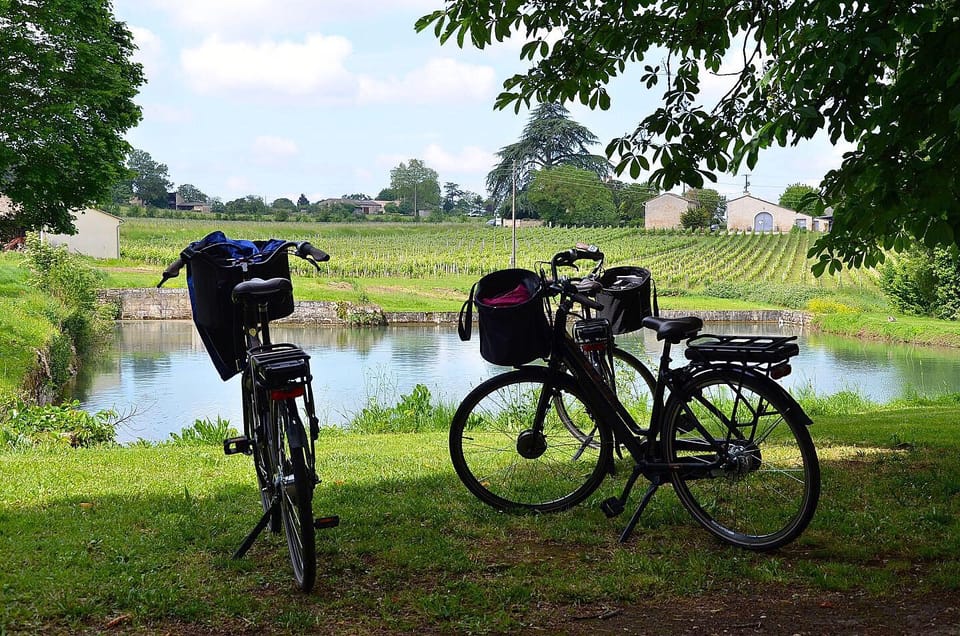 Saint-Émilion E-Bike Tour: Lunch, 2 Tastings & Transfers - Participant Restrictions