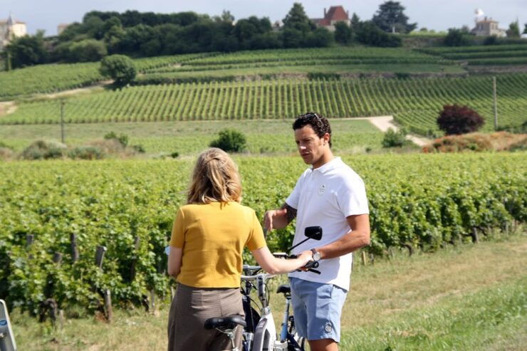 Saint-Emilion E-Bike Wine Tour - 2 Wineries & Picnic Lunch - Key Points