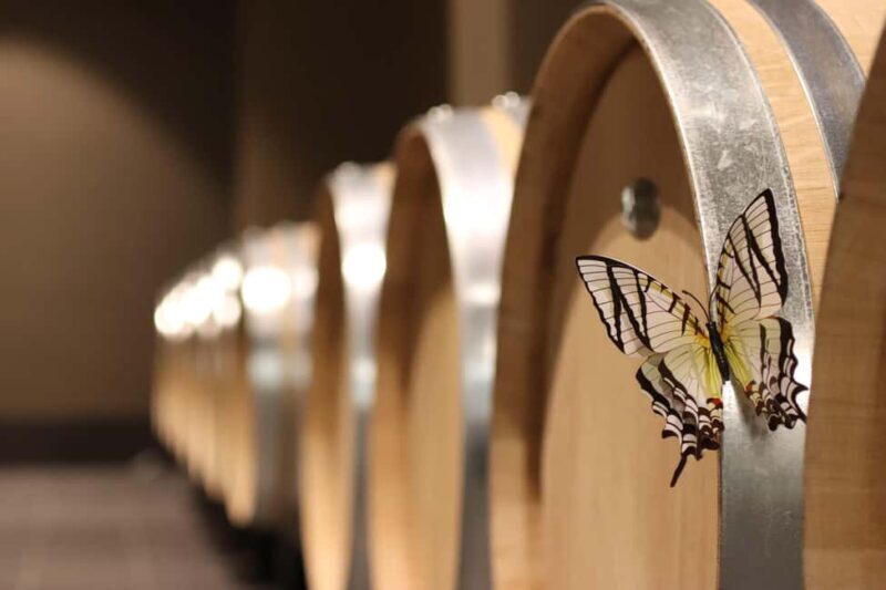 Saint Emilion: Family tour of the Maison Cardinale and tasting of three wines - What Makes This Tour Stand Out