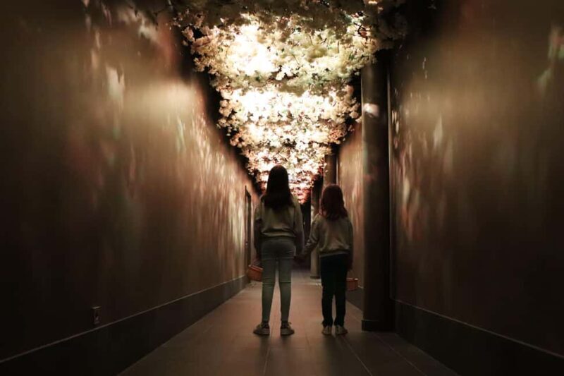 Saint Emilion: Family tour of the Maison Cardinale and tasting of three wines - Final Thoughts