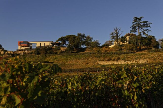 Saint-Emilion Grand Cru Classé: Guided Visit Tour & Tasting - Full Description