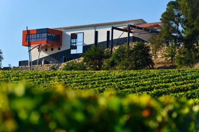 Saint-Emilion Grand Cru Classé: Guided Visit Tour & Tasting - Winery Visit 1: Traditional Cellar