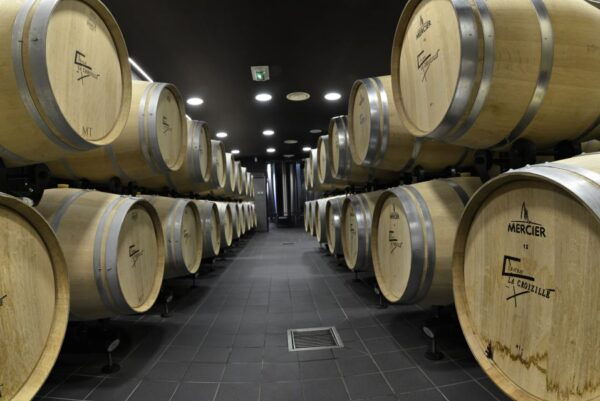 Saint-Emilion Grand Cru Classé: Guided Visit Tour & Tasting - Wine-Making Process and Tasting