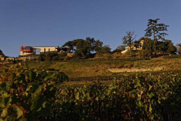 Saint-Emilion Grand Cru Classé: Guided Visit Tour & Tasting - Reviews and Ratings