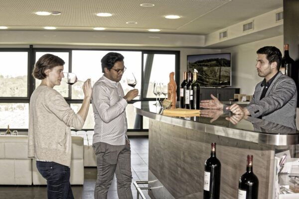 Saint-Emilion Grand Cru Classé: Guided Visit Tour & Tasting - Common Questions