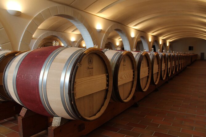 Saint Emilion Half Day Ebike and Wine Tour With Picnic Dinner - Inclusions