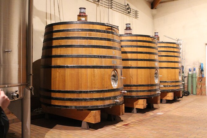 Saint Emilion Half Day Ebike and Wine Tour With Picnic Dinner - What To Expect