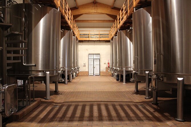 Saint Emilion Half Day Ebike and Wine Tour With Picnic Dinner - Reviews and Cancellation Policy