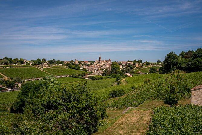 Saint Emilion Half Day Ebike and Wine Tour With Picnic Dinner - Frequently Asked Questions