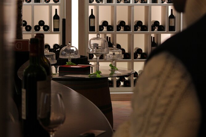 Saint Emilion Half Day Ebike and Wine Tour With Picnic Dinner - The Sum Up