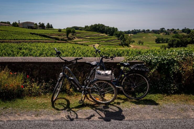 Saint Emilion Half Day Ebike and Wine Tour With Picnic - Good To Know
