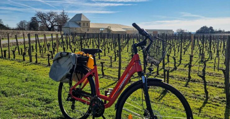 Saint Emilion Half Day Ebike and Wine Tour With Picnic - Pricing and Duration