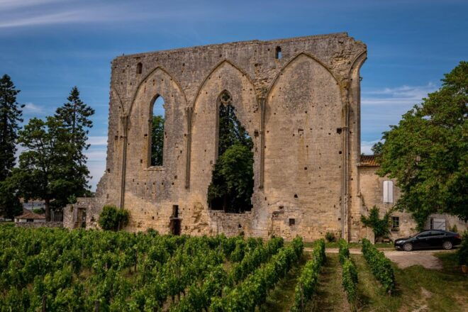 Saint Emilion Half Day Ebike and Wine Tour With Picnic - Tour Highlights