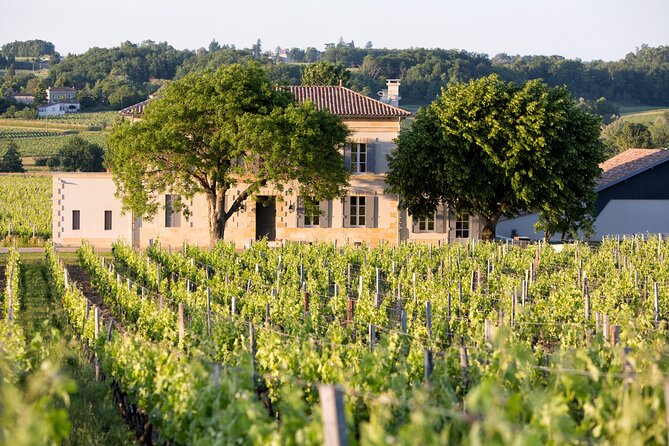 Saint Emilion Half-Day Trip With Wine Tasting & Winery Visit From Bordeaux - Reviews and Testimonials