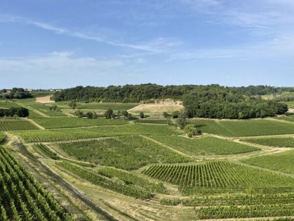 Saint-Emilion : Half-Day Wine-Tour Into Classified Estates - Common Questions