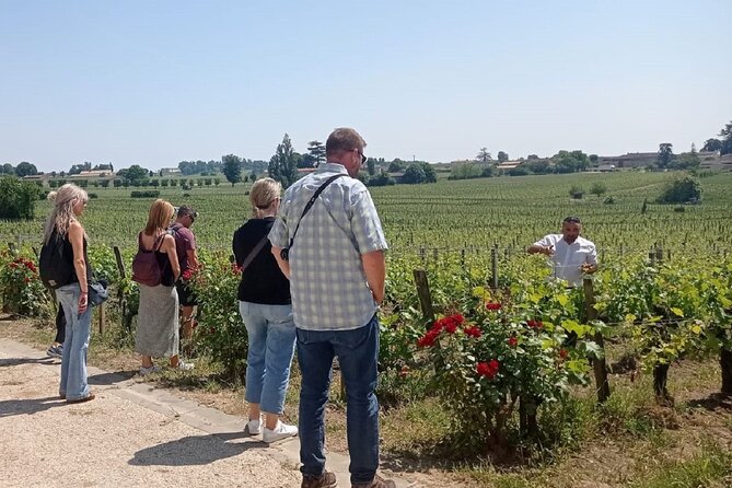 Saint-Emilion Morning Wine Tour, Winery & Tastings From Bordeaux - The Sum Up