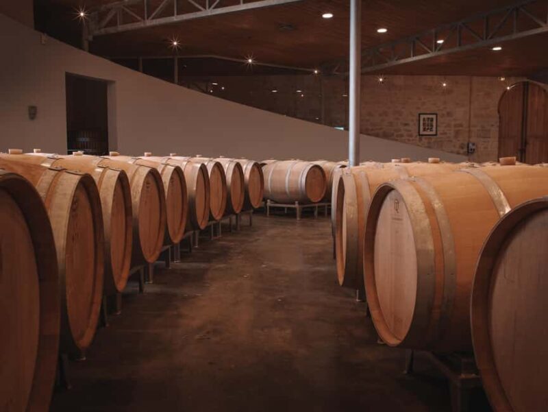 Saint-Émilion: Origin Tour - Tasting of 5 wines - Good To Know