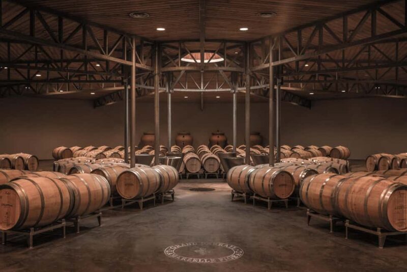 Saint-Émilion: Origin Tour - Tasting of 5 wines - A detailed look at the tour experience