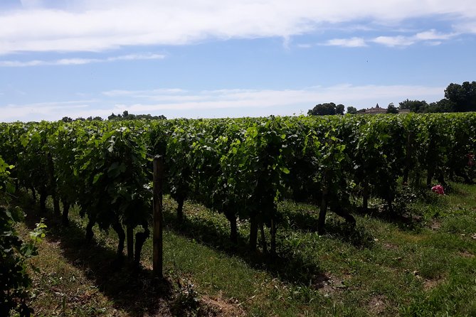 Saint-Émilion Private Full-Day Sidecar Tour With Winery Visits  - Bordeaux - Pricing