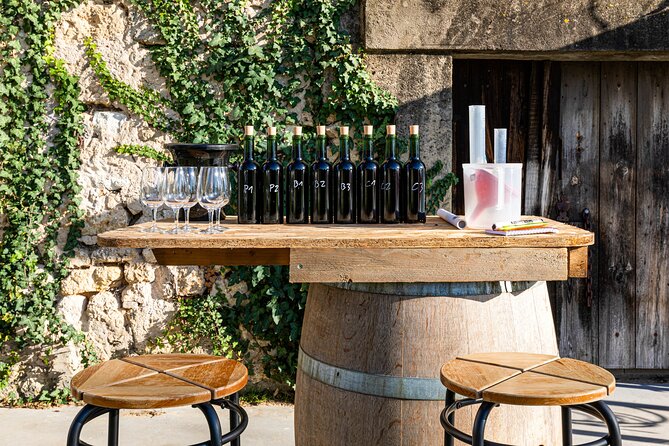 Saint-Émilion: Private Immersion in the Vineyard & Oenology Training - Good To Know