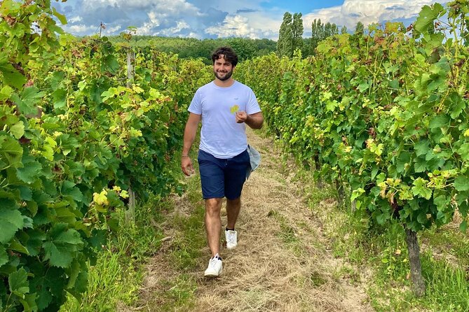 Saint-Émilion: Private Immersion in the Vineyard & Oenology Training - Pricing and Guarantee Details