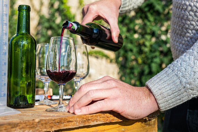 Saint-Émilion: Private Immersion in the Vineyard & Oenology Training - Reservation and Cancellation Policy