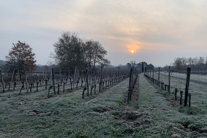 Saint-Émilion: Private Immersion in the Vineyard & Oenology Training - Directions and Meeting Point Information