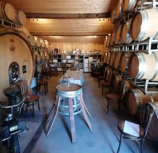 Saint-Emilion: Tasting of 4 Wines in a Family Vineyard - Good To Know