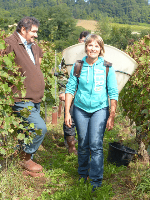 Saint-Emilion: Tasting of 4 Wines in a Family Vineyard - Wines Tasted