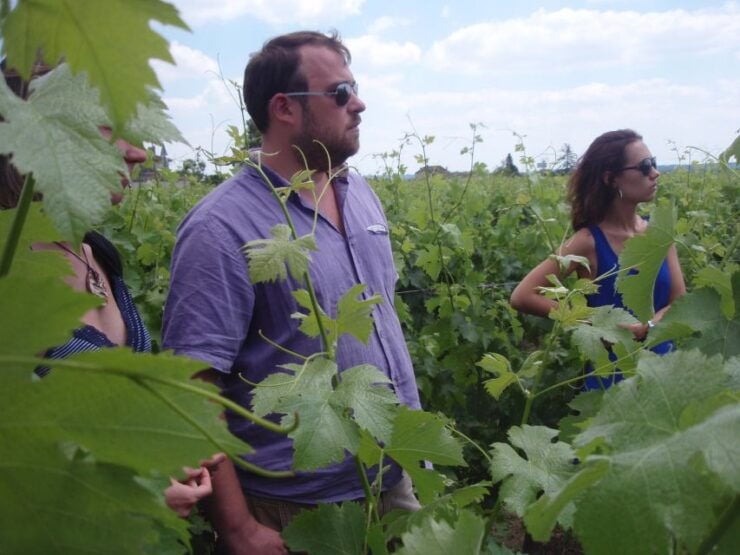 Saint-Émilion: Vineyard Walking Tour and Tasting - Accessibility and Group Size