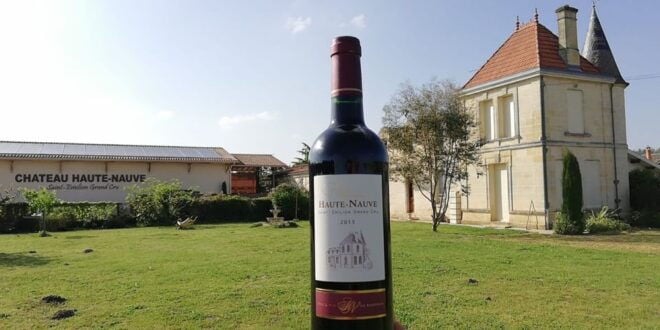 Saint-Émilion: Vineyard Walking Tour and Tasting - Booking and Cancellation Policy